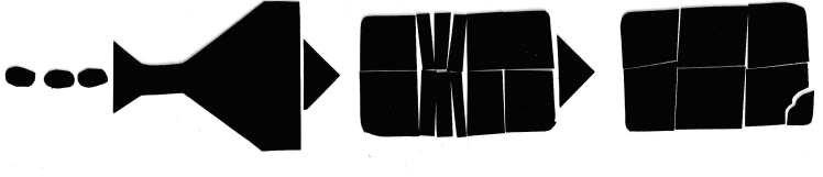 2b cacaobonen en chocola